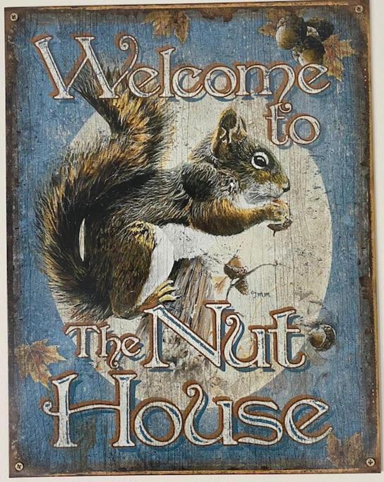Vakantiehuis The Nuthouse رويسيلاري المظهر الخارجي الصورة